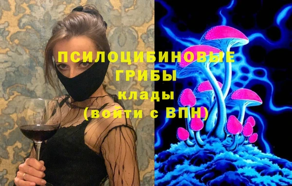 кокс Вяземский